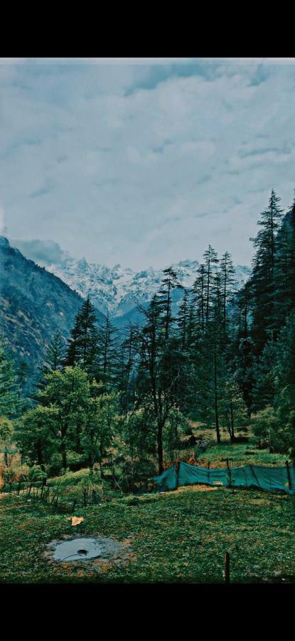 Shanti People Huts & Camp Касоль Екстер'єр фото